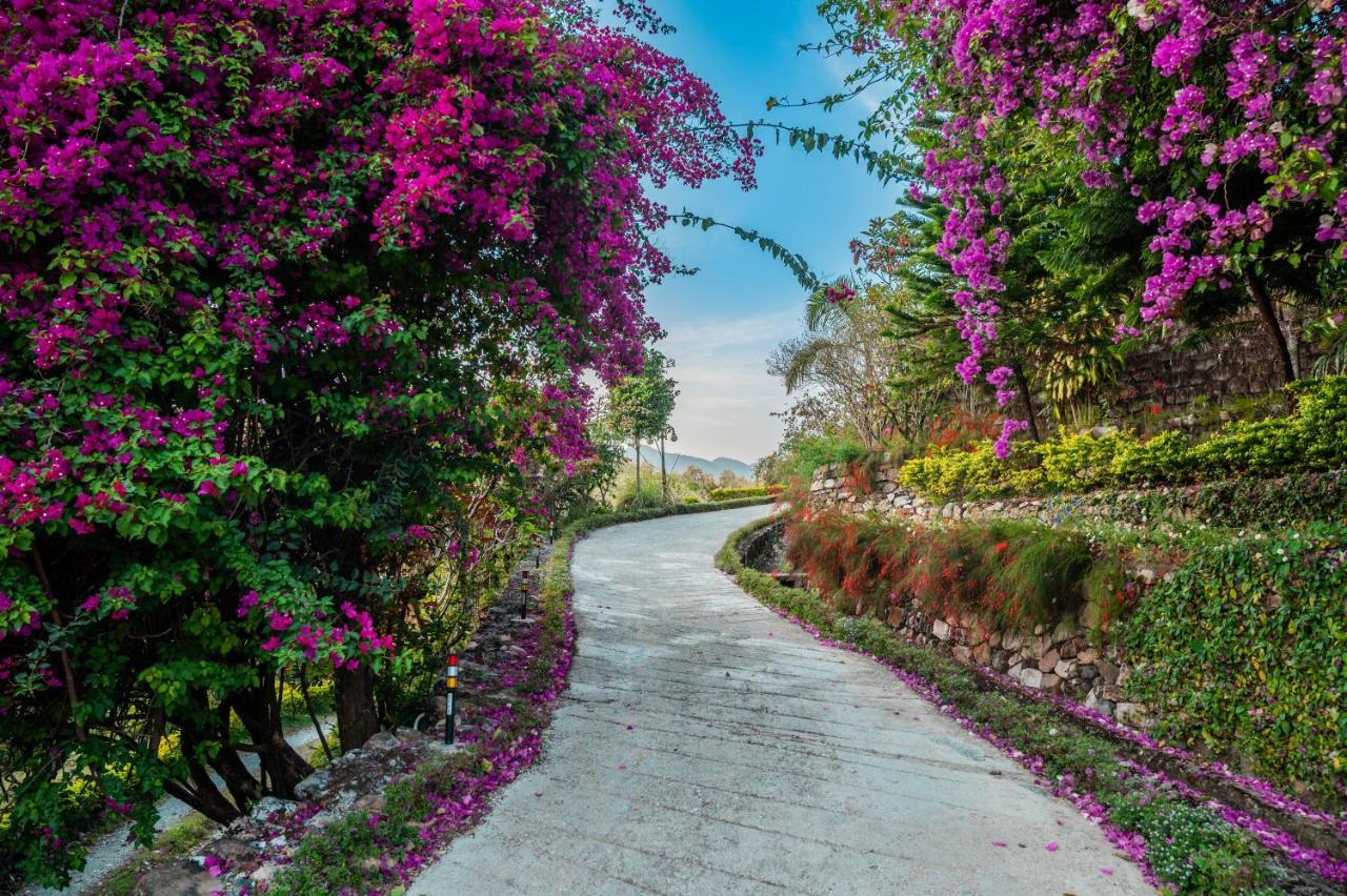Tree Of Life Resort Dehradun Foothills Exterior foto